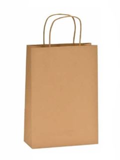 SACOLA KRAFT NATURAL M 10UN