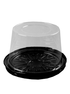 GALVANOTEK G 31 CT 1UN