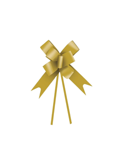 LACO PRONTO LISO OURO 18MM 10UN