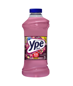 DESINFETANTE BAK YPE FLORAL 2L